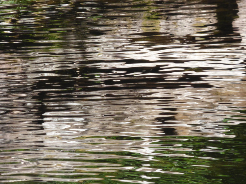 El color del agua 2
