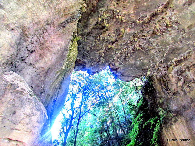 Mangapohue Natural Bridge.