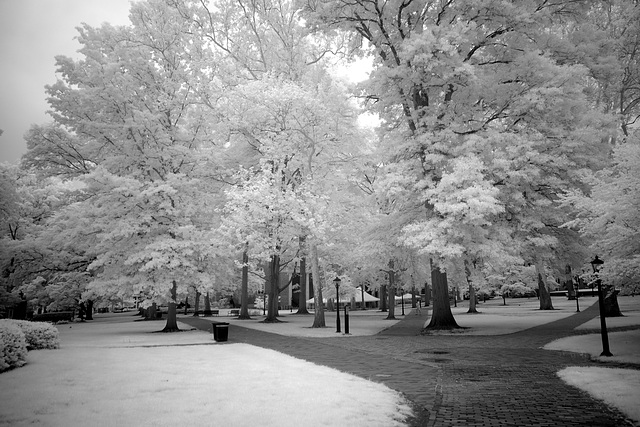 Gray day infrared II