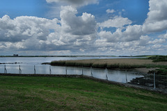 more of the marshes