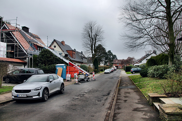 Ulmenweg (Wattenscheid-Höntrop) / 17.02.2024