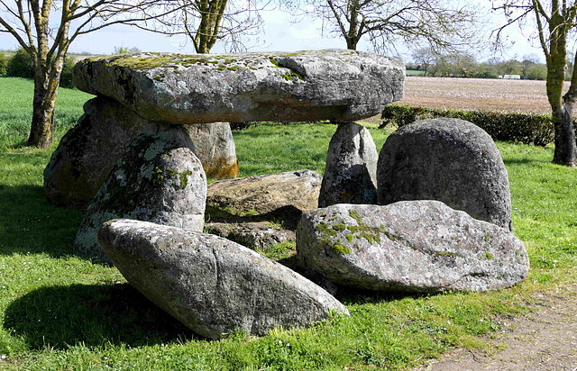 Dolmen de la Cour-du-Breuil