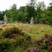 Cothiemuir Wood - Stone Circle