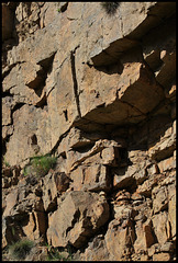 Granite et ses habitantes (8)