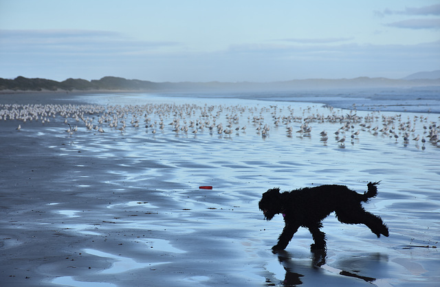 autumn at the beach