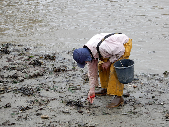 le temps de la pêche à pied