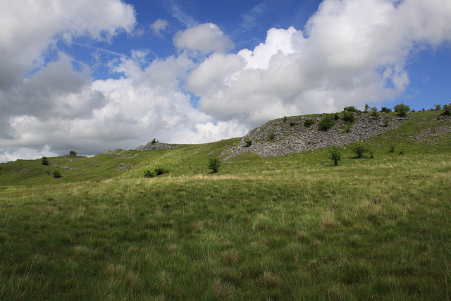 Carnau Gwynion