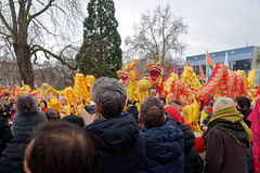 Plein de grosses bêtes à Aubervilliers !