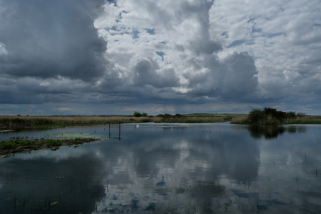 Rainham marshes before the rain