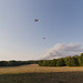 IMG 8548
