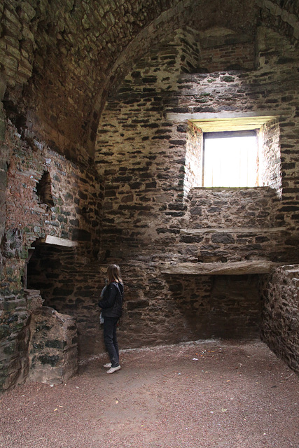 Ludlow Castle