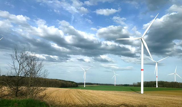 Belgian wind turbines