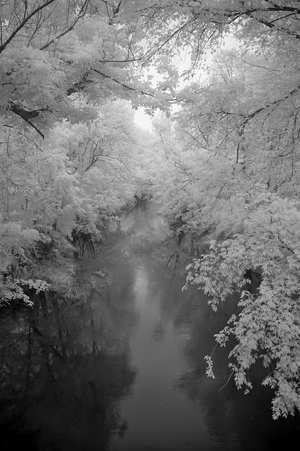 Gray day infrared IV