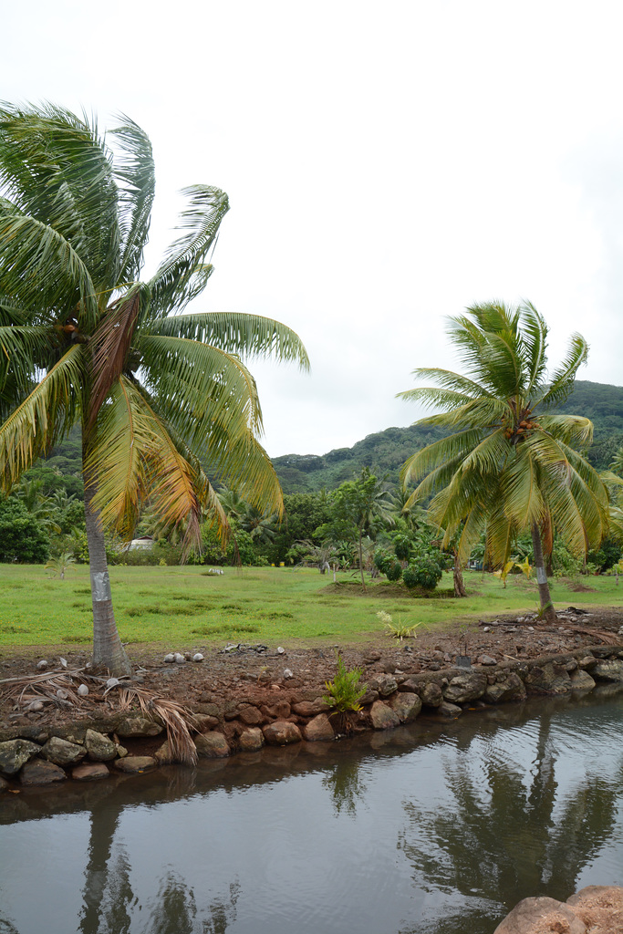 Polynésie Française, Nameless Creek on the Huahine Atoll