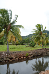 Polynésie Française, Nameless Creek on the Huahine Atoll