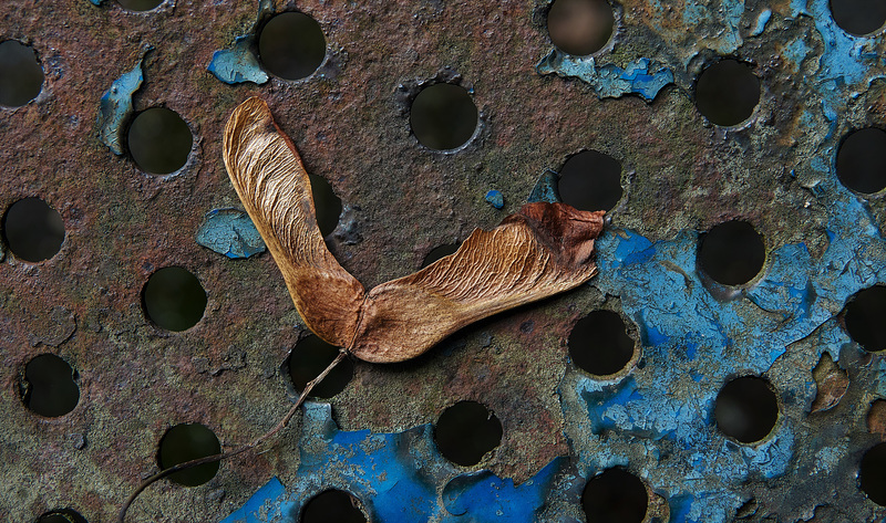 Dried And Rusty Crusty!