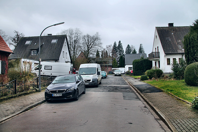 Pappelweg (Wattenscheid-Höntrop) / 17.02.2024