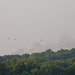 IMG 8566
