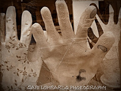 special gloves special gloves