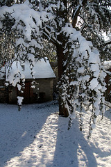 Dérèglement climatique , effet constaté ce midi en Beauce .