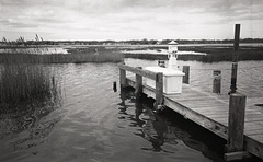 20200404 007