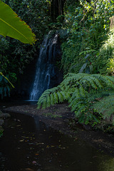 Small waterfall at the Water Gardens