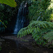 Small waterfall at the Water Gardens