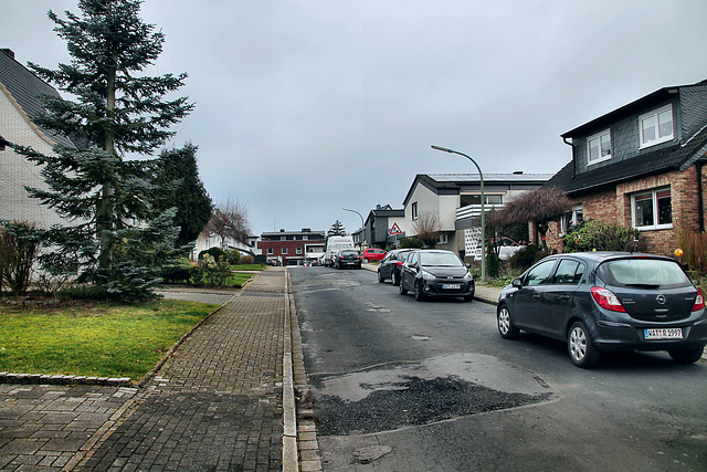 Birkenpfad (Wattenscheid-Höntrop) / 17.02.2024