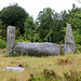 Cothiemuir Wood - Stone Circle