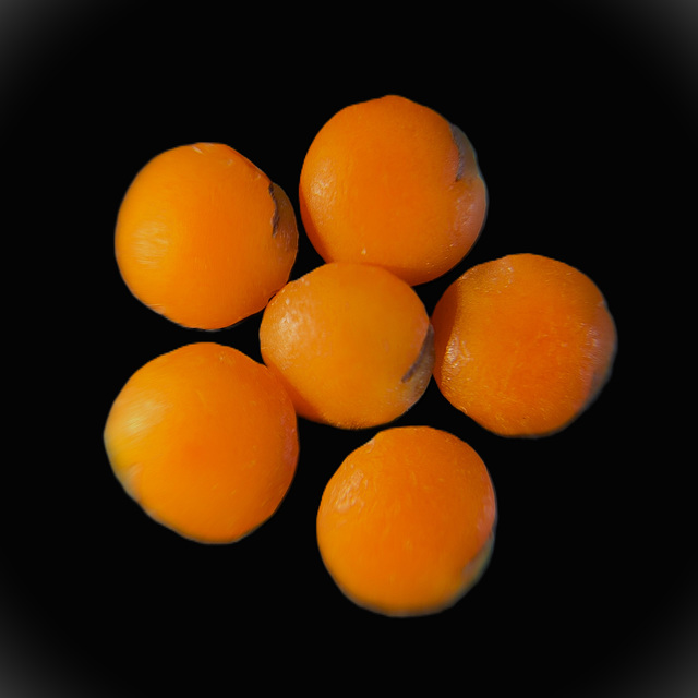 Macro Mondays: Thema "sechs"