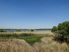 20170519 1681CPw [H] Nationalpark Fertö-Hansag, Neusiedler See