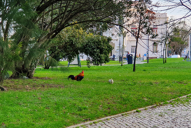 Lisboa, Portugal