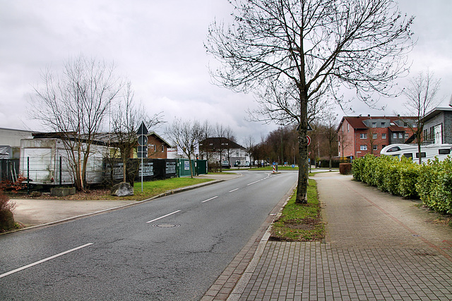 Willi-Melchers-Straße (Lünen-Wethmar) / 4.03.2023