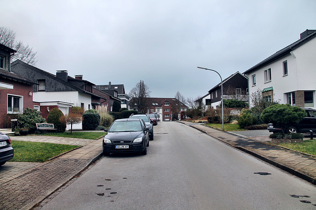 Pappelweg (Wattenscheid-Höntrop) / 17.02.2024