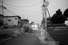 Early morning sidewalk