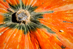 Herbstzeit - Kürbiszeit