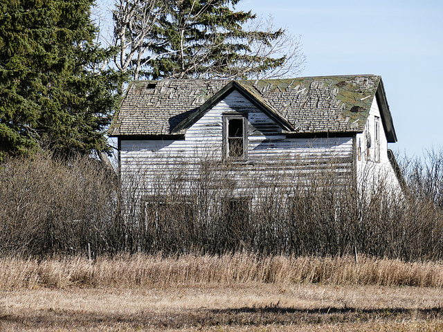 The old, white house