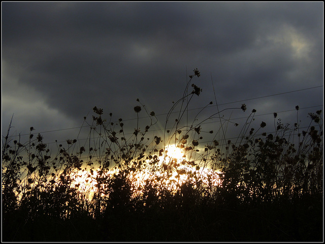 HFF-Hunting Clouds