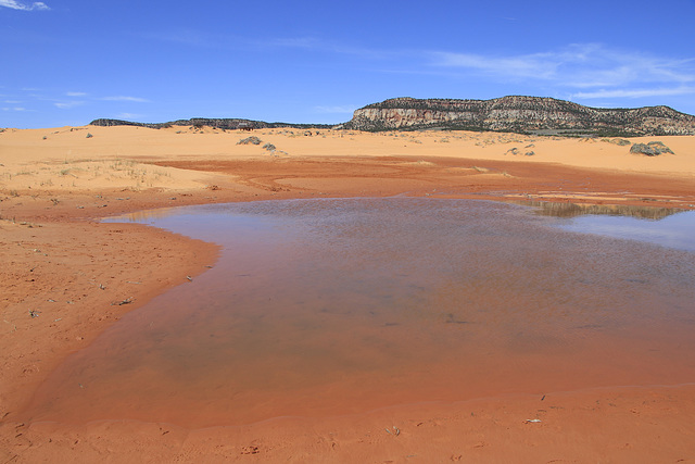 Coral Pink Sand Dunes State Park