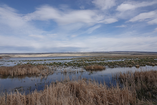 Wetlands to Snow-capped Mountain