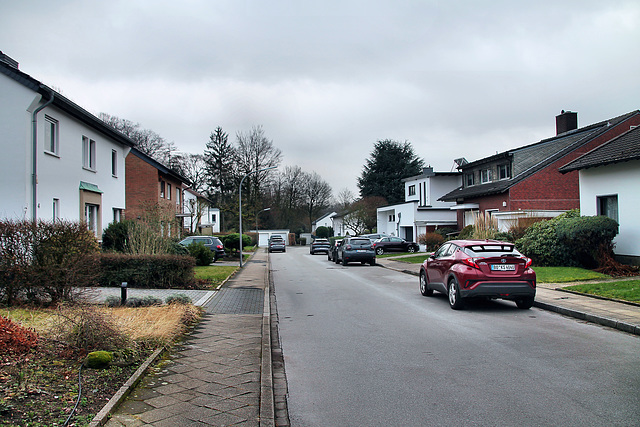 Pappelweg (Wattenscheid-Höntrop) / 17.02.2024