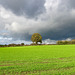 Rain clouds approaching