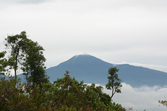 Congo, Mount Karisimbi (4507 m)