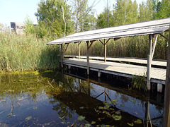Beobachtungsbrücke am Teich im Naturschutzgebiet Champ-Pittet