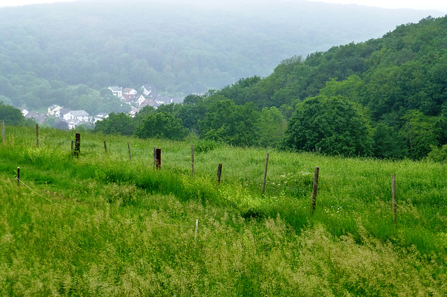 Blick auf Gimmingen