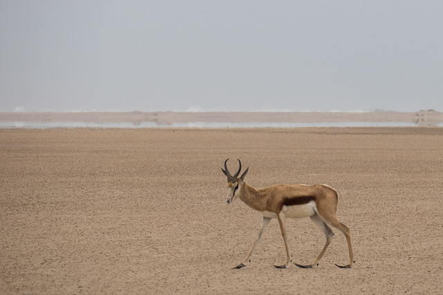 Namibia-0409