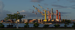 Painted cranes in Papeete