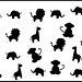 A Silhouetted Menagerie