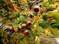 P1035537
