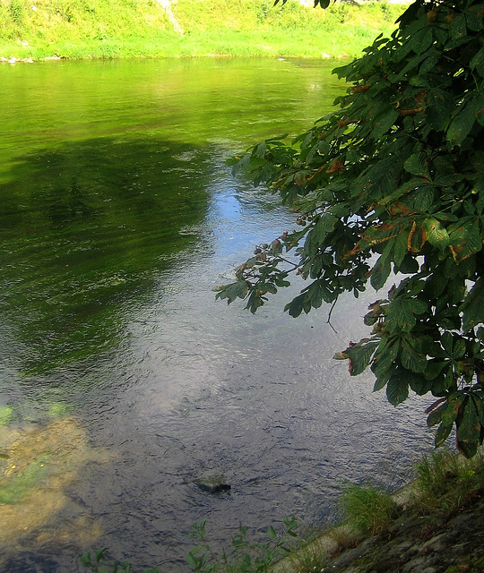 L'Ourthe